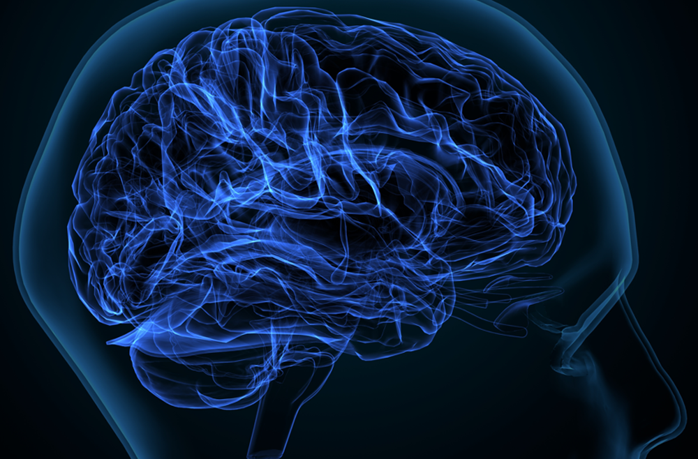 A digital illustration of a brain in blue lighting